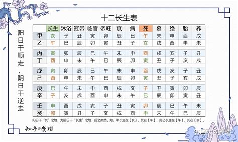 12長生|八字十二長生解讀——長生